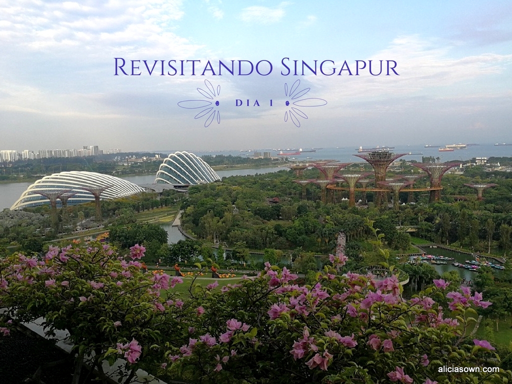 Revisitando Singapur  Día 1